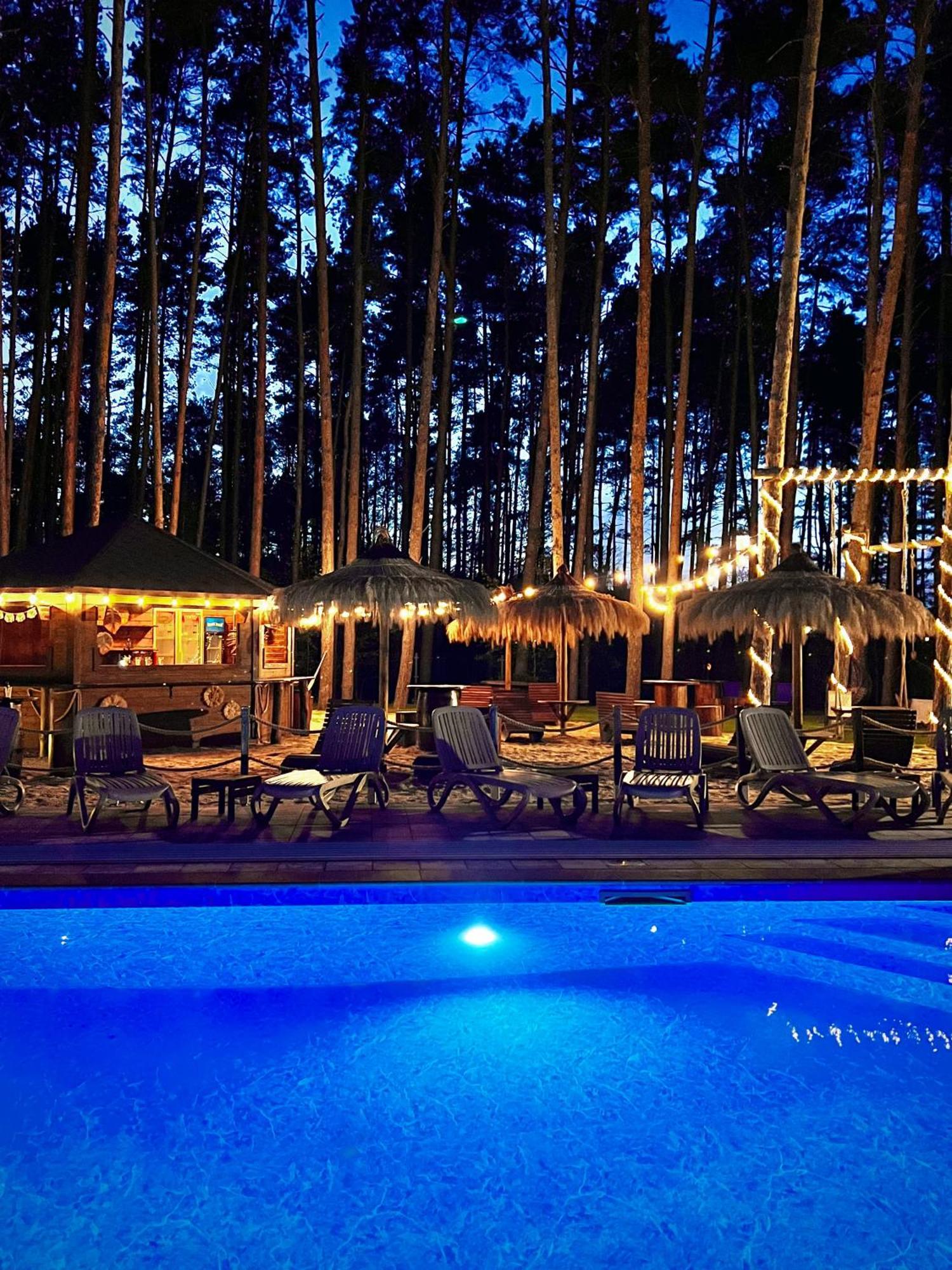 Bed and Breakfast Lesne Ustronie Lubiszewo Экстерьер фото